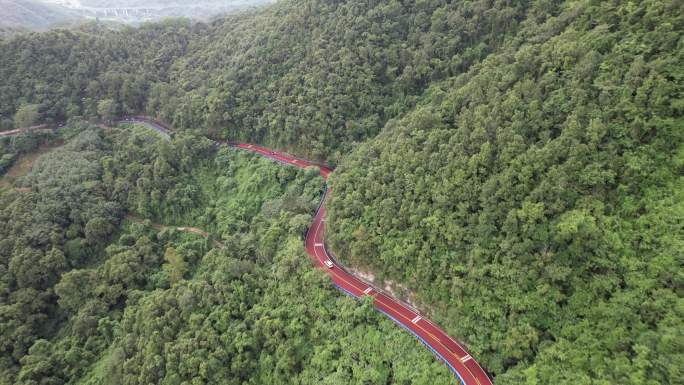 自驾海南琼中线山路国道穿过鹦哥岭热带雨林