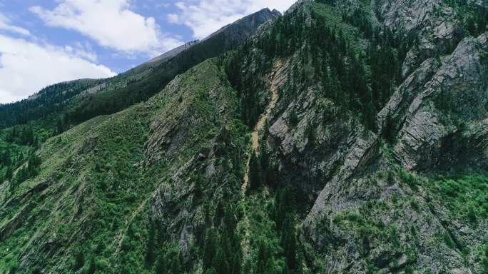 航拍山坡上的植被