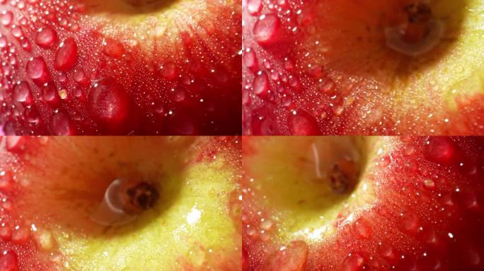 用探针镜头拍摄微距视频，红苹果上的水滴