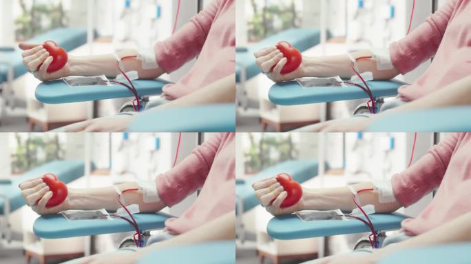 女性献血者的手的特写镜头。白人妇女挤压心形红球，将血液通过管道泵入袋中。捐赠给心脏手术患者。