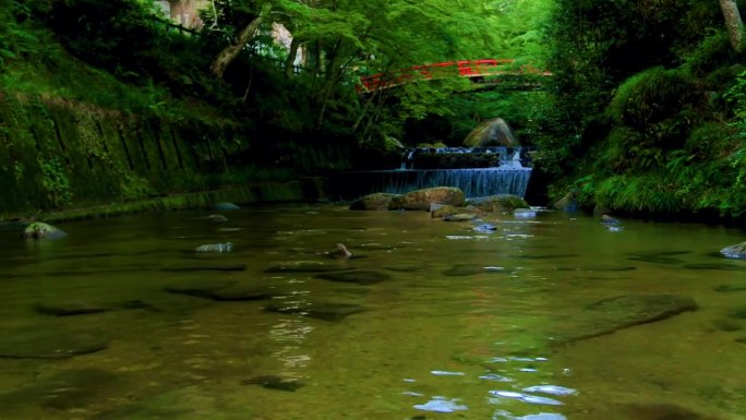 夏天流经岩屋堂公园的河流。