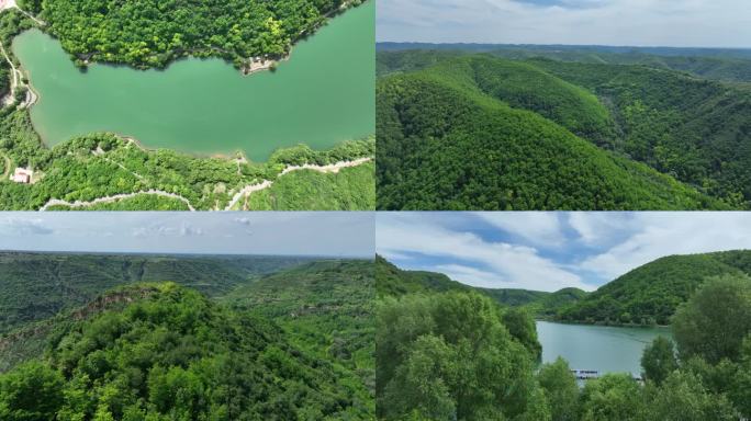 青山绿水