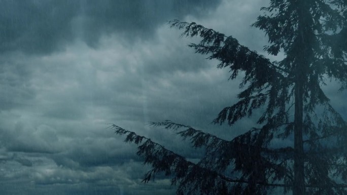 暴雨中闪电击中树上的云层