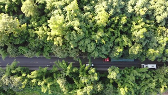 四好农村路 乡村公路 航拍公路