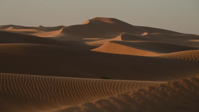 大风侵蚀的沙漠 防沙 风沙 环境治理抗旱