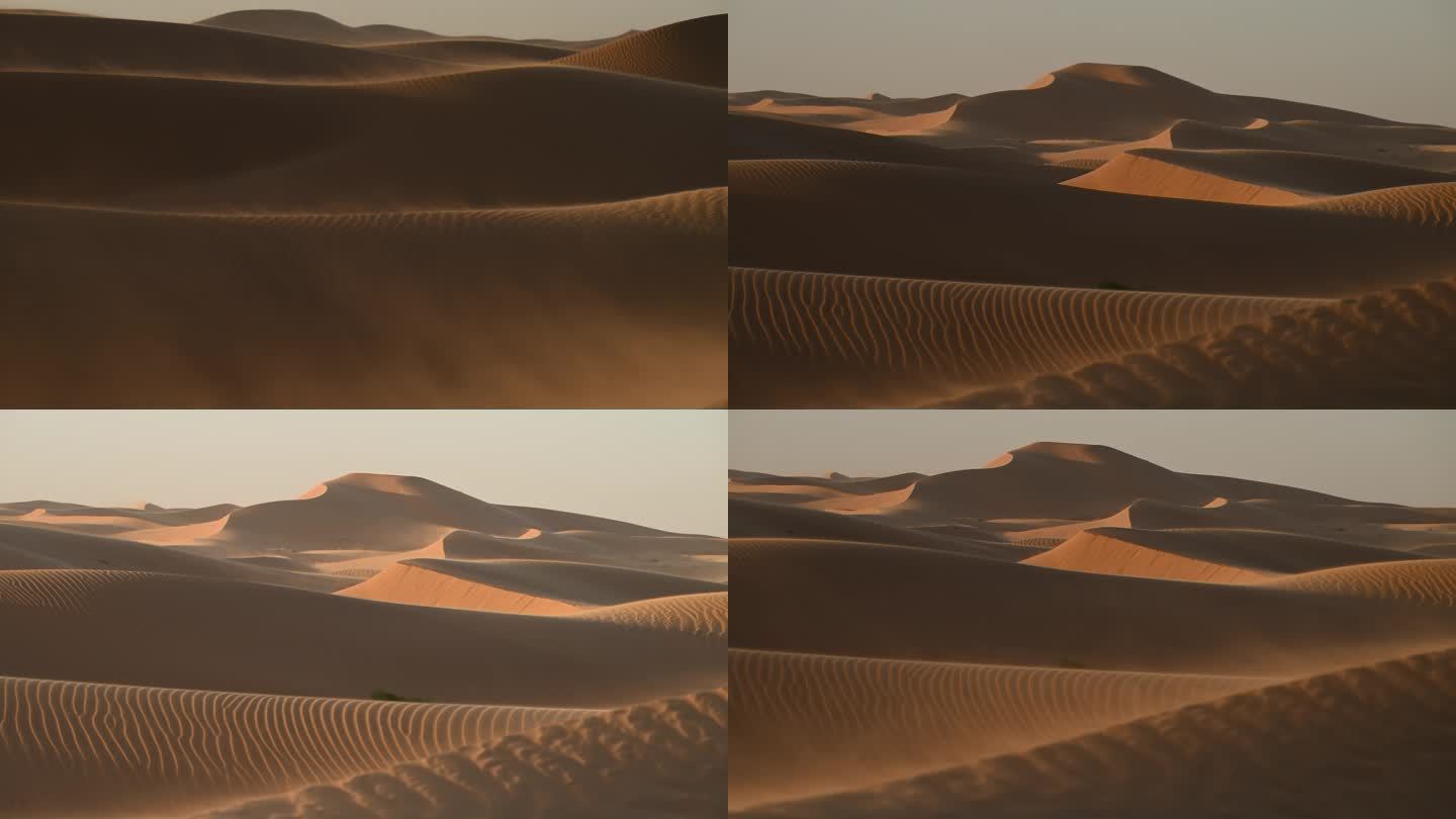 大风侵蚀的沙漠 防沙 风沙 环境治理抗旱