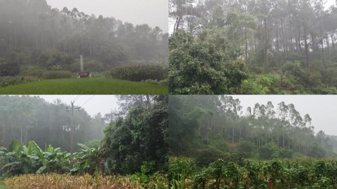 梅雨季节雨量暴雨如注阴雨天气下雨视频素材