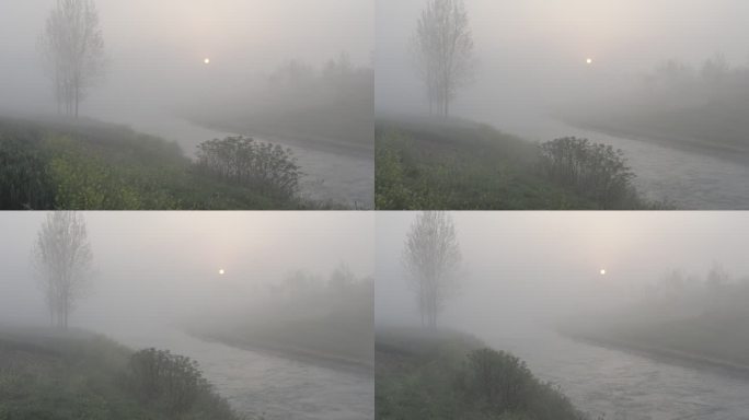 云雾中的河边森林