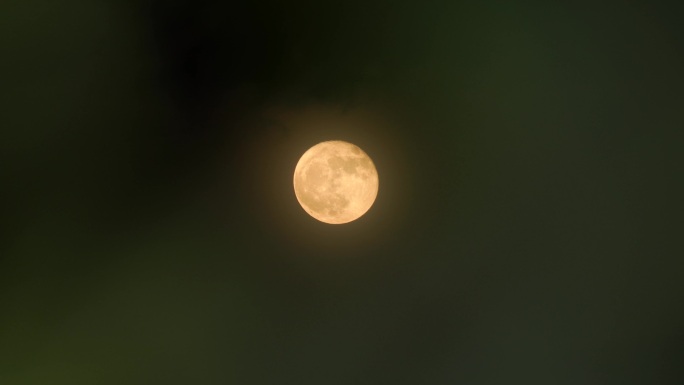 中秋月亮透过树叶月亮十五月亮赏月满月圆月