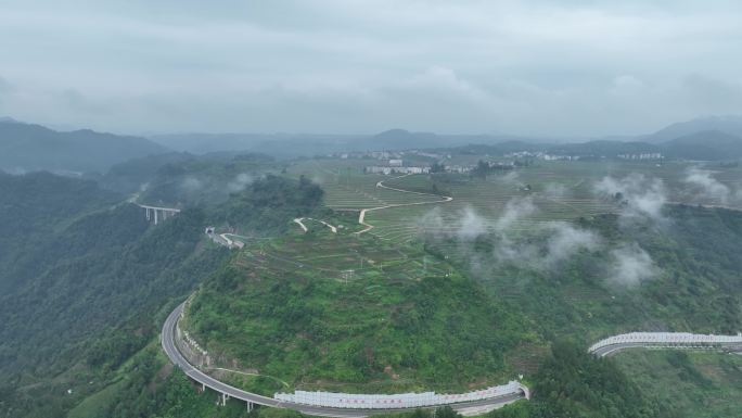 浙江山区道路高山茶园云雾实拍原素材