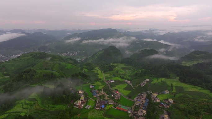 开阳云山茶海