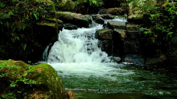 夏天流经岩屋堂公园的河流。