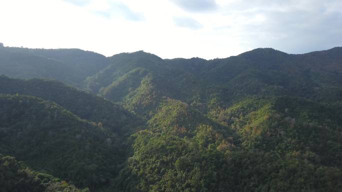 C海南五指山航拍视频