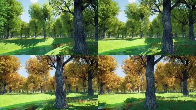 3D动画森林森林