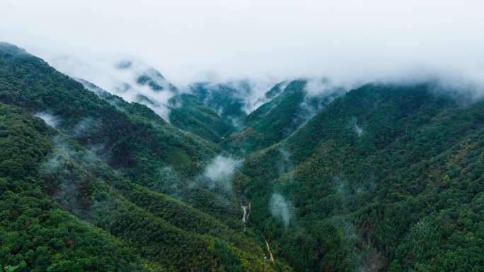 福建宁德_霍童山脉_山脉云雾延时