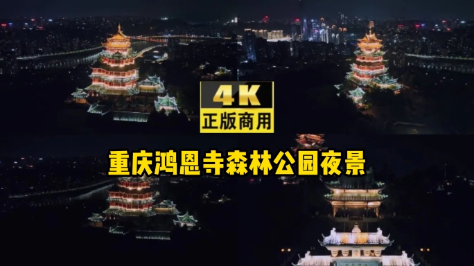 重庆鸿恩寺森林公园4k夜景实拍