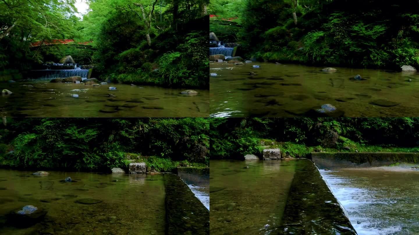 夏天流经岩屋堂公园的河流。