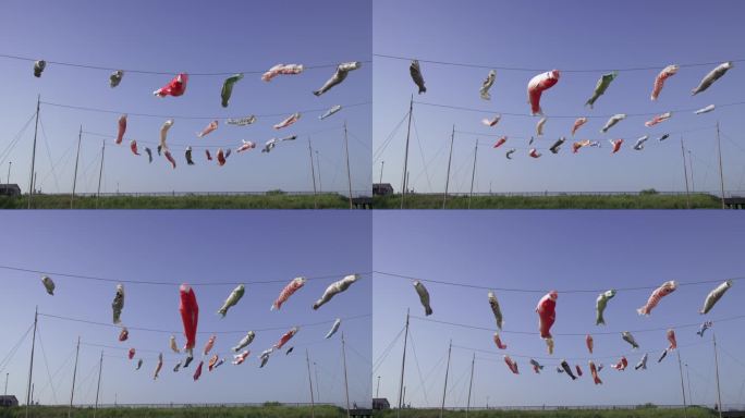 在风中飞舞的鲤鱼彩带，儿童节，日本