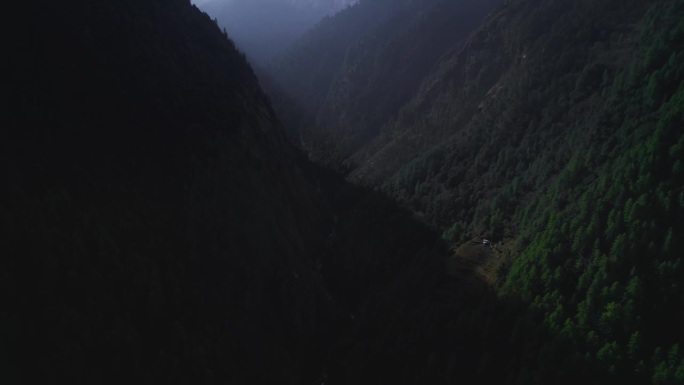 尼泊尔郁郁葱葱的绿色山脉点缀着生机勃勃的落叶森林