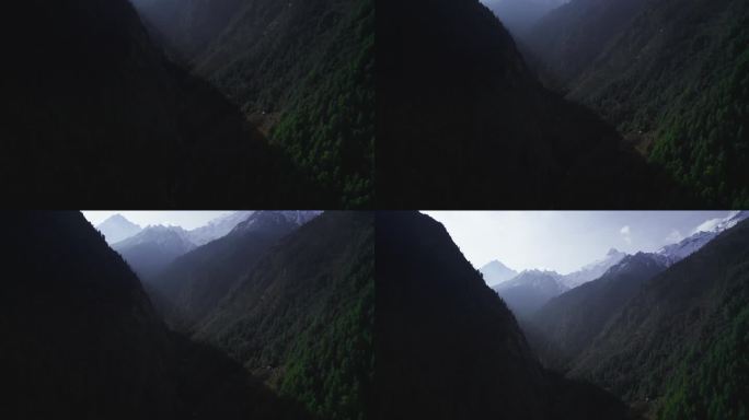 尼泊尔郁郁葱葱的绿色山脉点缀着生机勃勃的落叶森林
