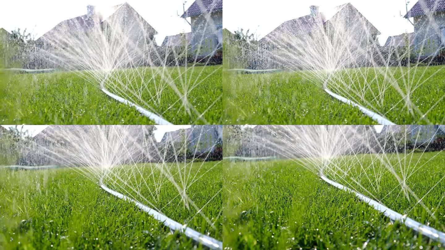 喷水和飞溅的特写，用软管浇灌草坪。自动园林灌溉系统浇灌草坪。用于灌溉和维护草坪、园艺的自动设备。