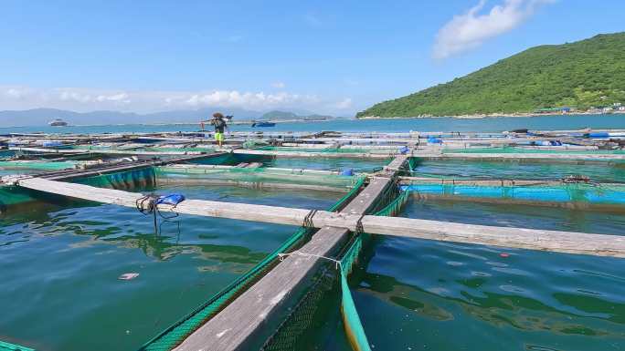 现代养殖业：海洋牧场，提升新质生产力