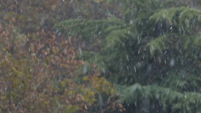 C河南鹤壁雪景高清实拍视频