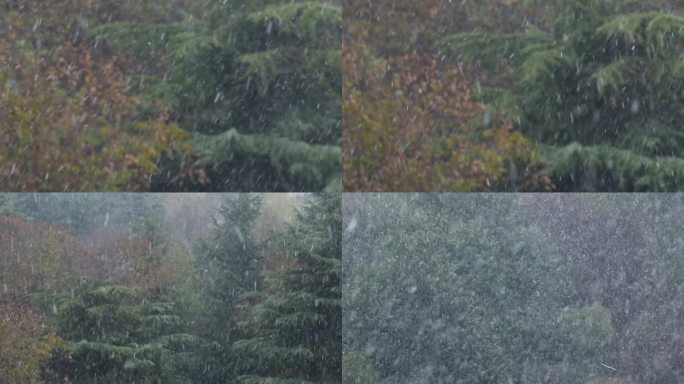 C河南鹤壁雪景高清实拍视频