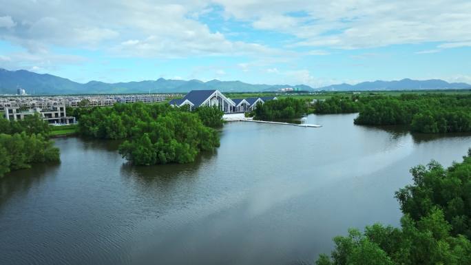 4k江门滨海新区世贸碧海银湖湾湿地红树林