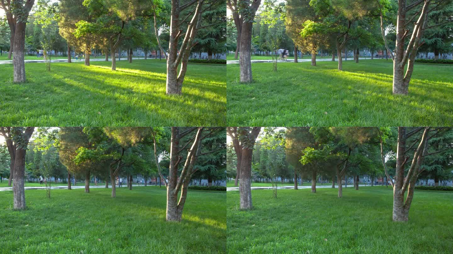 校园清晨草地延时摄影阳光扫过草坪