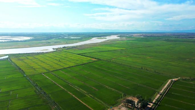 黄河平原农业-生态水利-稻田河流大地