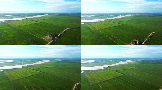 黄河平原农业-生态水利-稻田河流大地