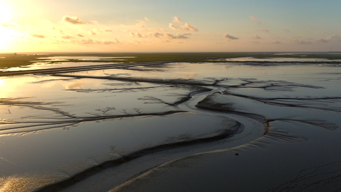 黄海湿地滩涂 条子泥湿地