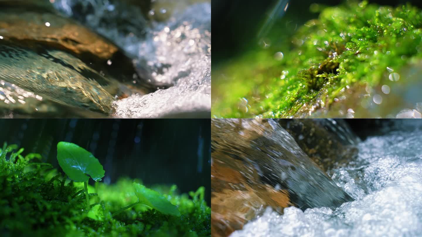 树林生态山水滴水流溪水珠天然绿水青山谷雨