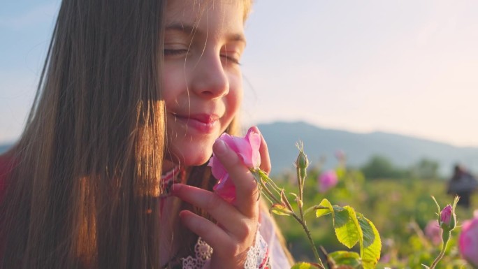 保加利亚美丽的女孩穿着民族民俗服装，在玫瑰谷日出时呼吸着大马士革玫瑰精油的清新香气。保加利亚的性质