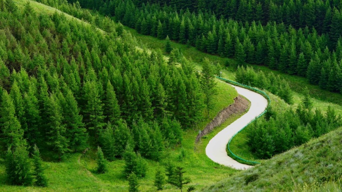 森林道路