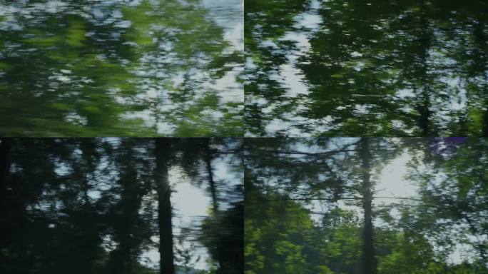 从车窗望向树林树枝特写树荫底下丁达尔光