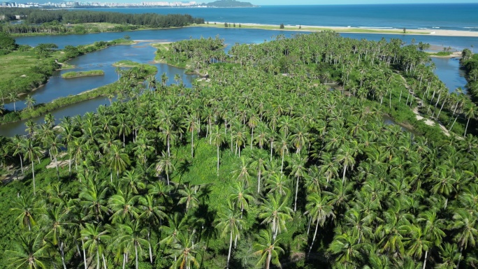 三亚椰子洲岛全景航拍