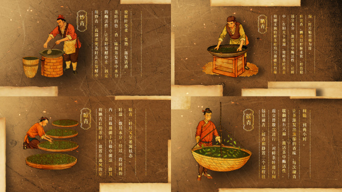 古法手工茶制作烘焙过程AE模板