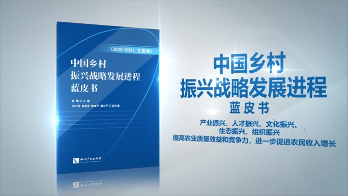 AE184中国乡村振兴战略发展进程蓝皮书