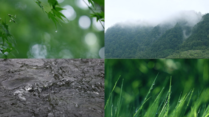 4K大自然阳光森林泉水生命力