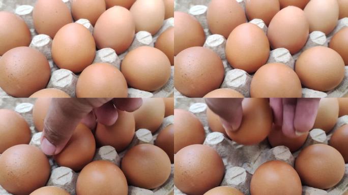 在鸡蛋架上挑鸡蛋