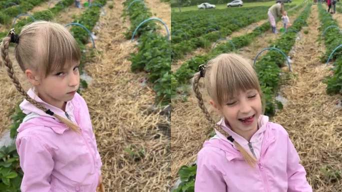 微笑的女孩在农场采草莓