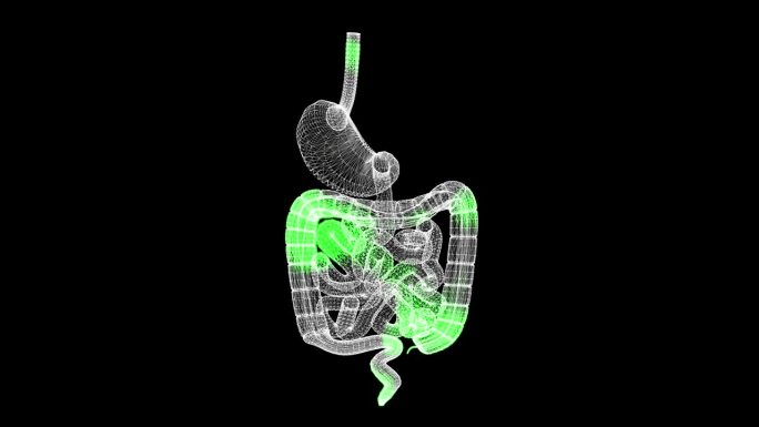 胃肠道的3D治疗。治疗胃的过程康复和治疗的概念。人体内部胃解剖的治疗。3D动画60 FPS。