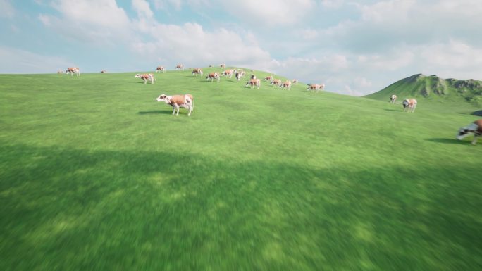 草原牧场奶牛吃草