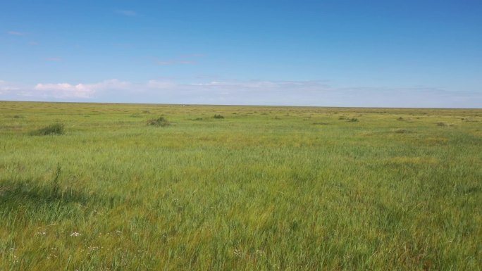 内蒙古土地复垦草原