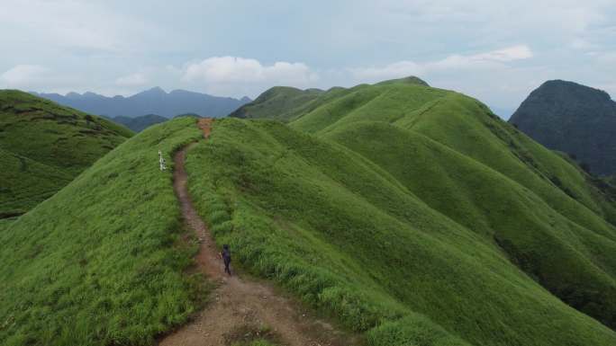 航拍绿色的高山草甸