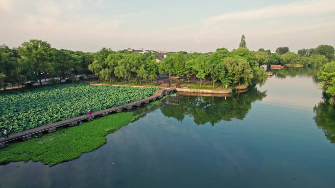 绍兴柯岩风景区 荷花池