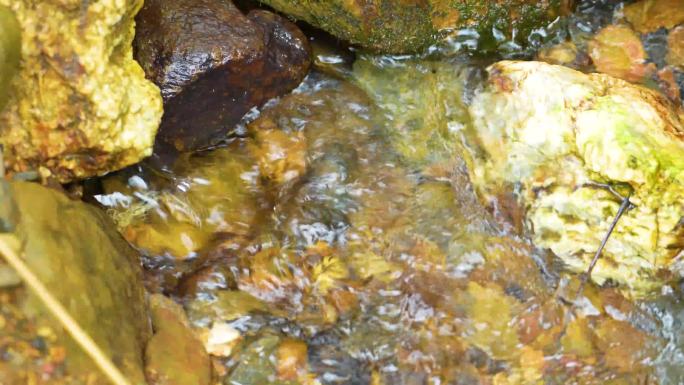 山泉 溪流 泉水 自然小溪河流山泉水