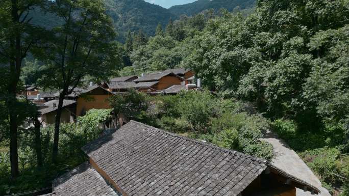 乡村振兴云南屏边苗乡森林掩映村庄土房